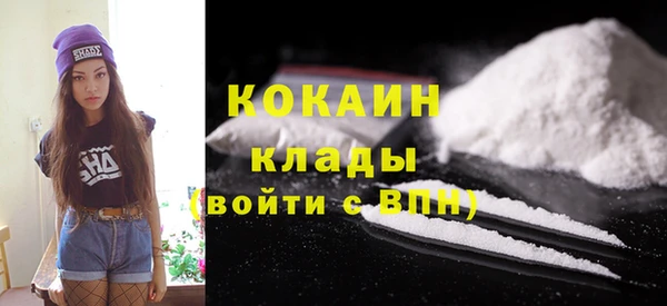 хмурый Инсар