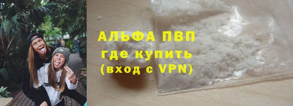 хмурый Инсар