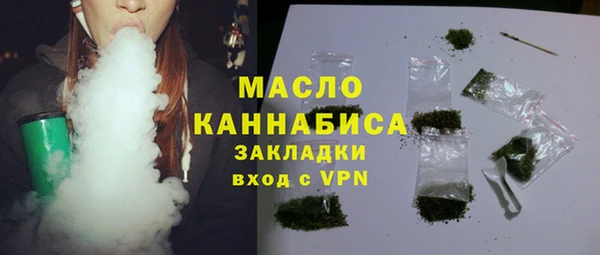 хмурый Инсар