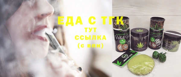 хмурый Инсар