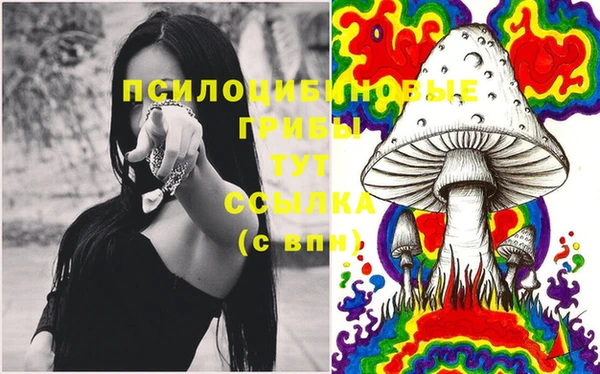 мдма Инта