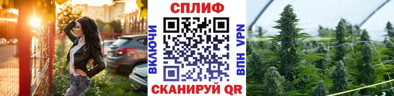Конопля план  Купить где  Тихвин 